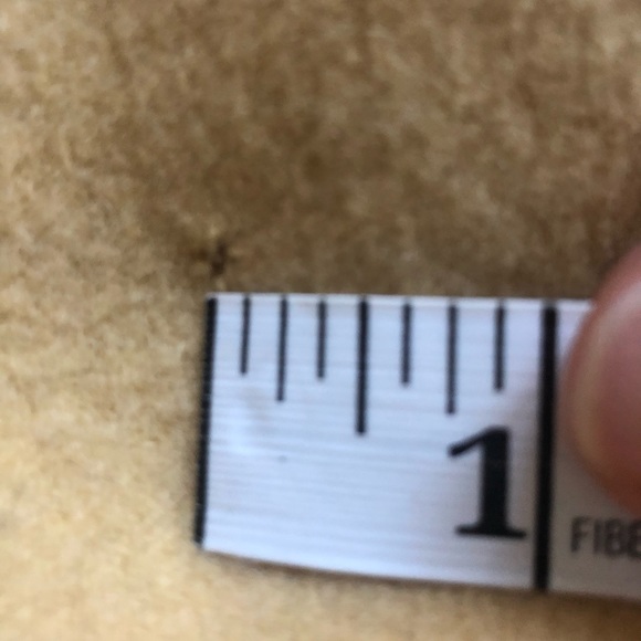 Authentic 100 percent cashmere Burberry scarf - Picture 9 of 9